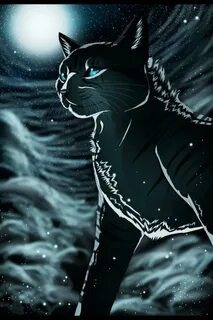 Коты воители звездные