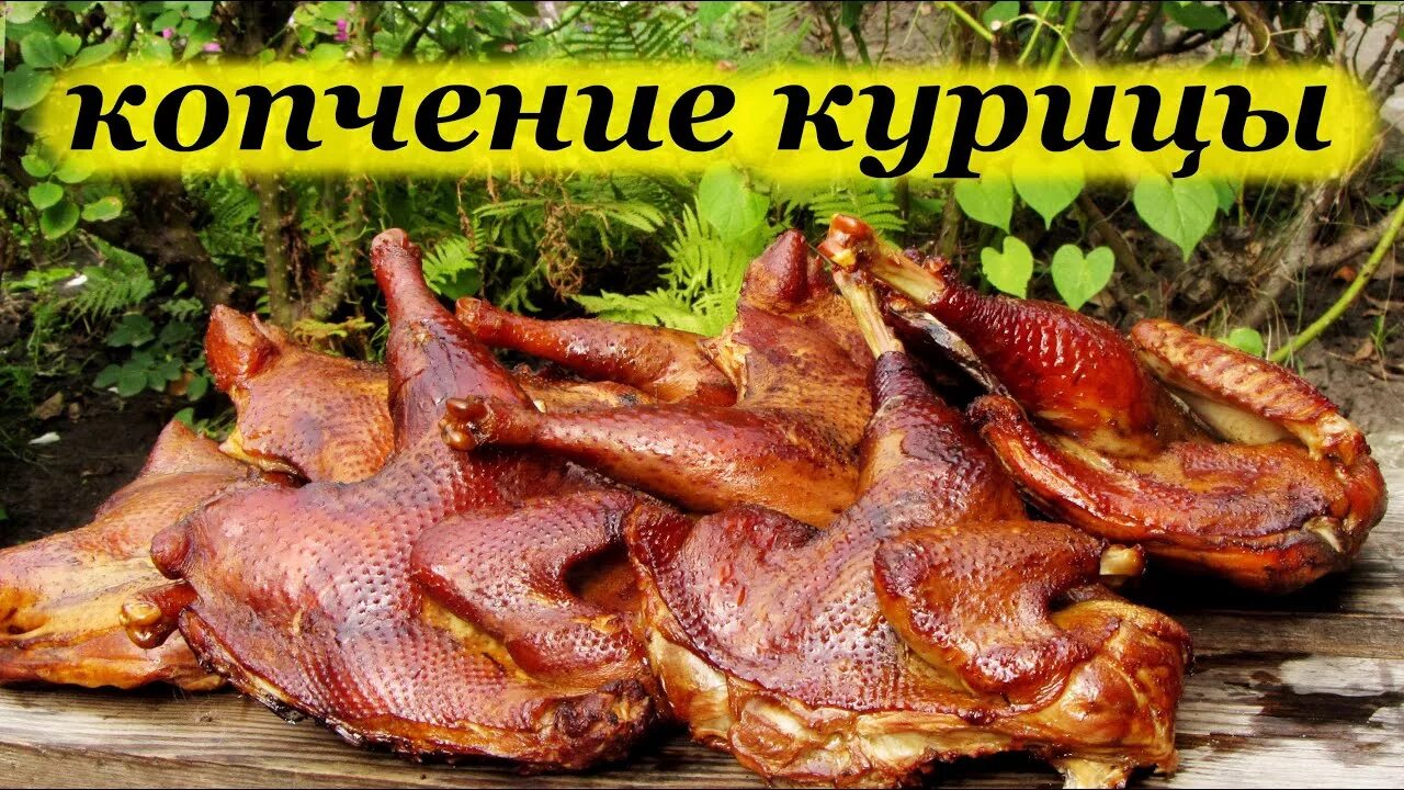 Как подготовить курицу для домашнего копчения. Копчение курицы горячего копчения. копченая курица в коптильне. курица горячего копчения в коптильне. курица в коптильне горячего.