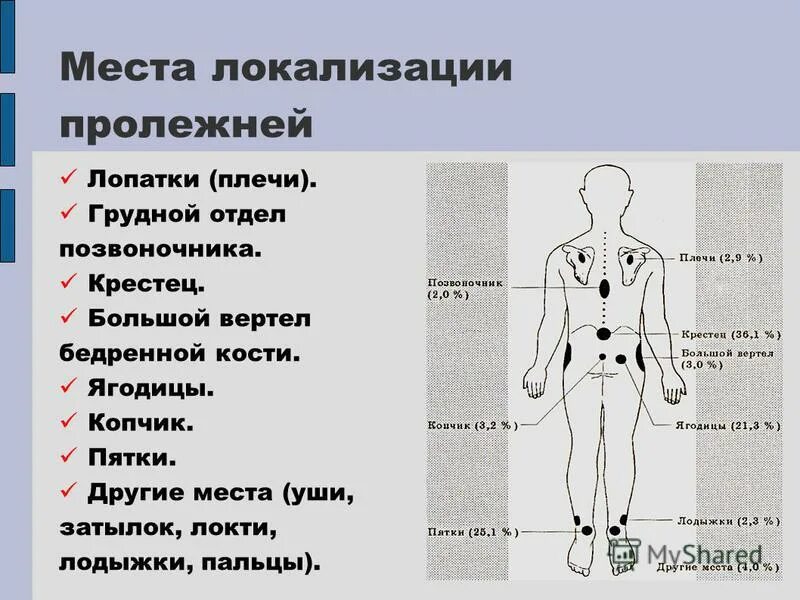 При сальмонеллезе возбудитель локализуется в тонком кишечнике. Эпидермо-дермальные границы это. Местом локализации является. Местом локализации является. Местом локализации является.