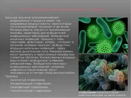 Патогенные вирусы вызывают