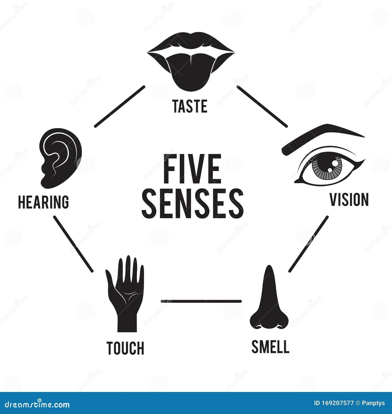 5 Чувств. Значок 5 чувств. Пять чувств человека. Пять чувств человека картинки.