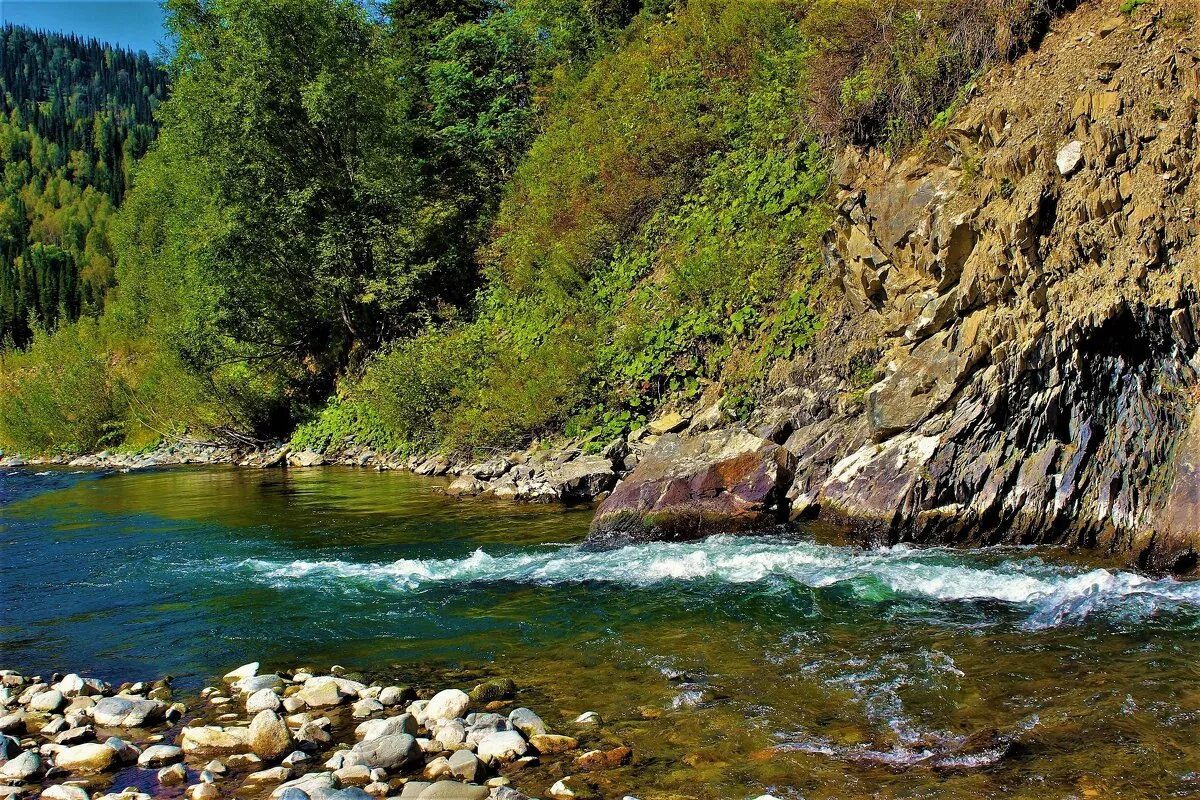 Какие есть горные реки. Река Астарачай. Река Аргун горный Алтай. Терек Горная река. Река Чепси.