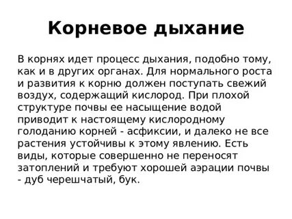 В процессе дыхания корни