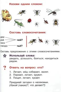 План конспект насекомые