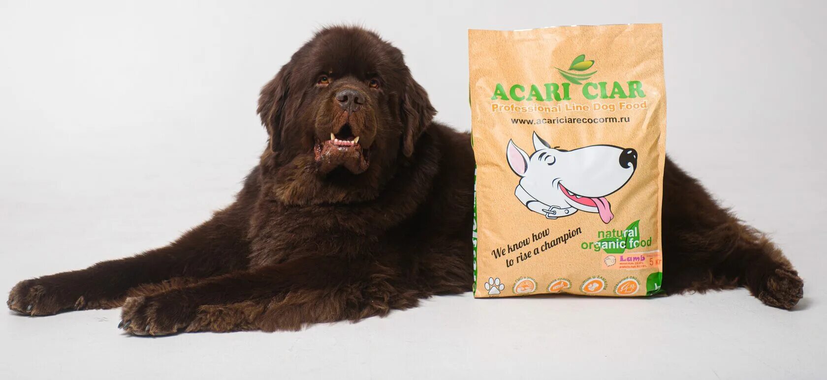 Корм акари киар купить. Acari Ciar корм для собак. Акари Киар корм для собак производитель. Acari Ciar корм логотип.