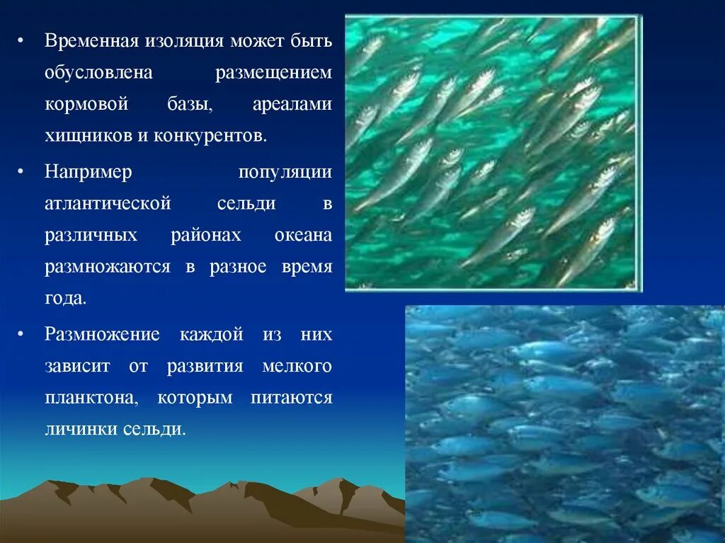 Примеры изоляции в биологии. Примеры временной изоляции. Примеры временной изоляции в биологии. Механическая изоляция примеры. Временная изоляция это в биологии.