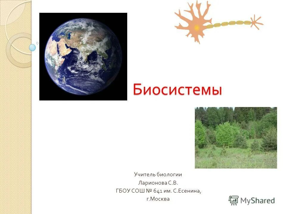 биосистемы. общие свойства биологических систем. безопасные биосистемы. примеры биосистем. биосистемы.