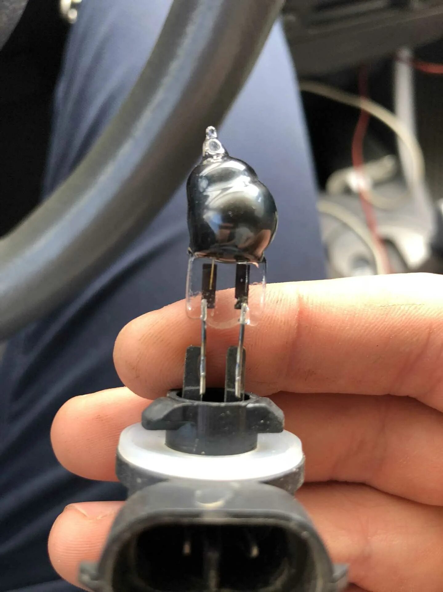 Лампа противотуманная хендай соната 2011 год. Соната цоколь ламп. Соната цоколь ламп. Акцент противотуманки хундай лампа цоколь 2003 год. Соната цоколь ламп.