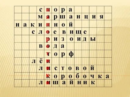 Кроссворд по папоротникам