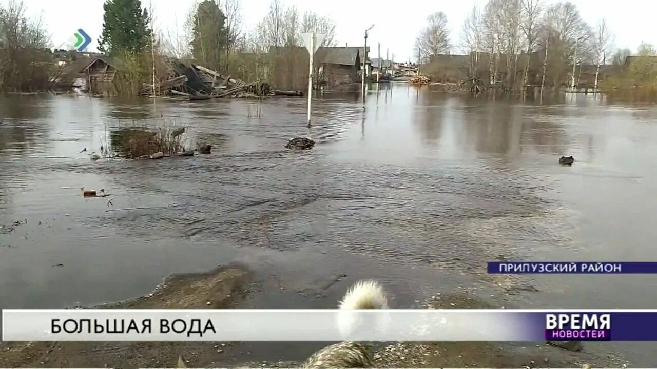 Уровень воды в Томи. Летка Прилузский. В течении весеннего половодья уровень воды