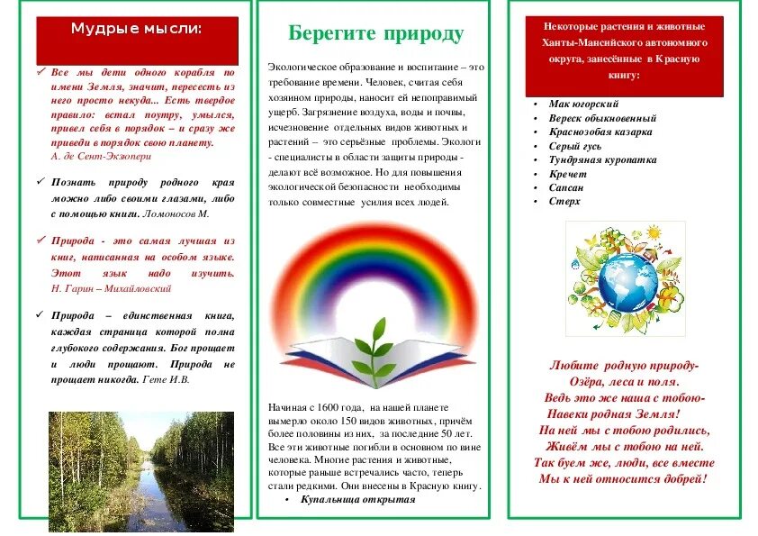 Брошюра по экологии. Буклет по экологии. Буклет на тему берегите природу. Брошюра для родителей в детском саду. Буклет челябинск