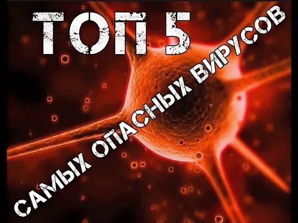 Топ 5 самых опасных вирусов. Топ 10 самых опасных вирусов в мире. Топ 5 самых опасных болезней. Самые опасные вирусы фото. Опасные вирусы в мире