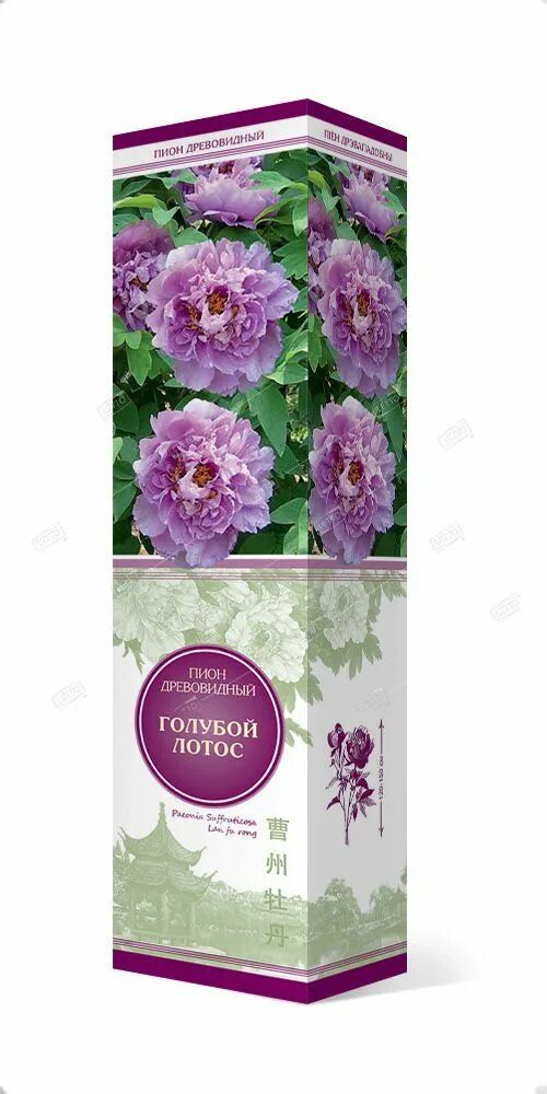 Пион древовидный 'La Fu Rong - Blue Lotus' 1-2 ветки Пионы, Сад