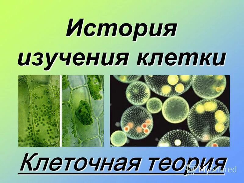 История изучения строения клетки. Клетка история изучения клеточная теория тест. Клеточная теория 10 класс. Клеточная теория презентация. Клеточная теория методы изучения клетки.
