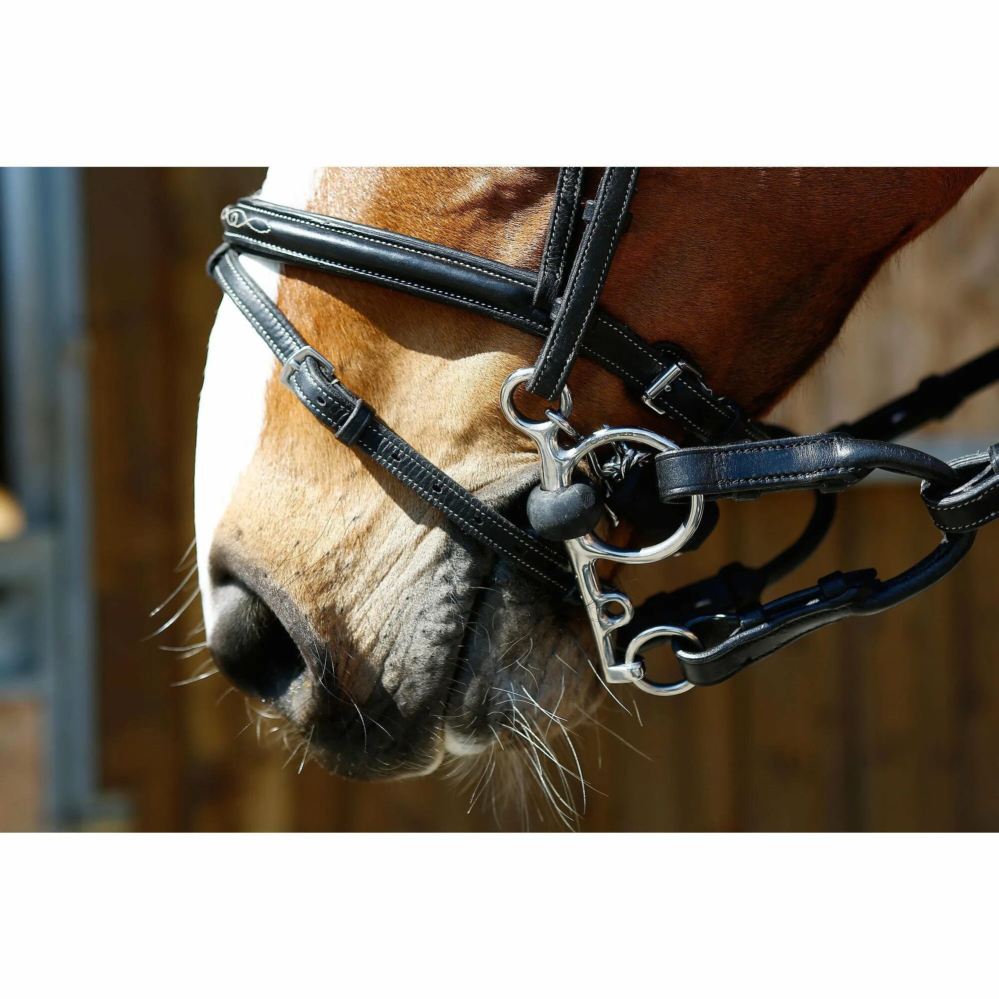 Pin by Sarah Brooks on bit Horses, Animals, Picture