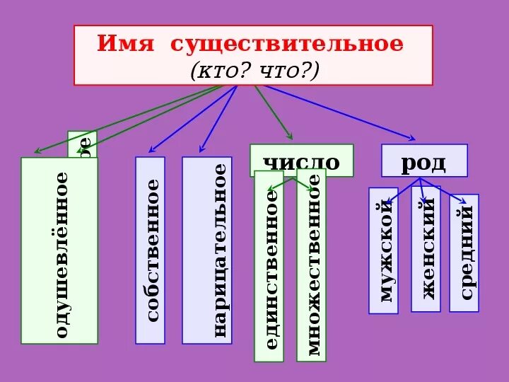 Имя существительное 3 класс. Имя существительное 3 кл. Имя существительное презентация. Презентация по русскому языку на тему имя существительное. Русский язык 5 класс имя существительное презентация