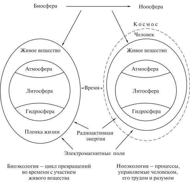 Биосфера эволюция ноосфера. Ноосфера схема по Вернадскому. Биосфера Вернадский схема. Биосфера и Ноосфера схема. Структура биосферы Вернадский.