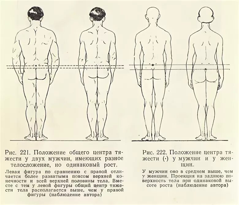 где центр тела. где центр тела. расположение центра тяжести у мужчин и женщин. где центр тела. где центр тела.