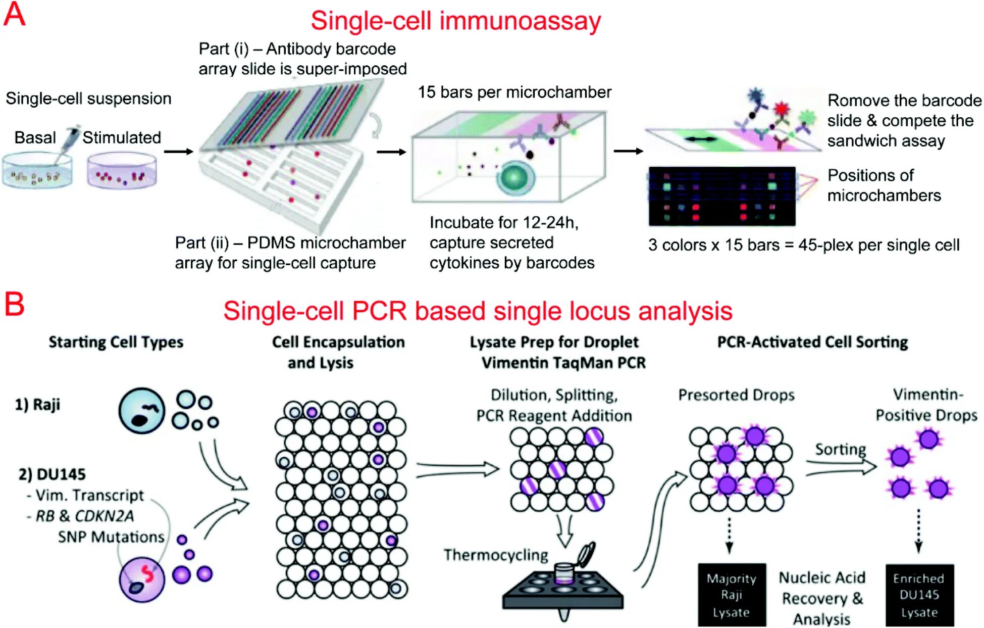 Immunoassay. Wallac Immunoassay. Surround Optical Fiber Immunoassay. Flow Cytometry Analysis Dublets Single Cells.