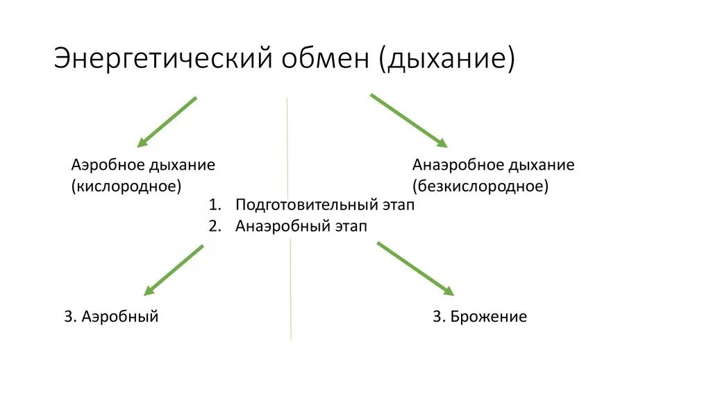 Бескислородному этапу обмена веществ. 1. Энергетический обмен. Этапы энергетического обмена у аэробов.. Этапы энергетического обмена у анаэробов. Этапы энергетического обмена у аэробов и анаэробов. Этапы энергетического обмена подготовительный анаэробный аэробный.