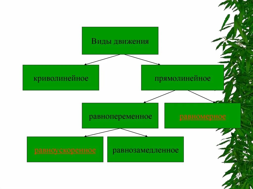 Классификация видов движения. Виды передвижения. Классификация движений физика. Виды механического движения.