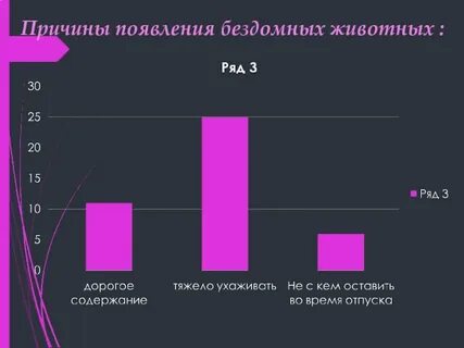 Причины появления бездомных животных