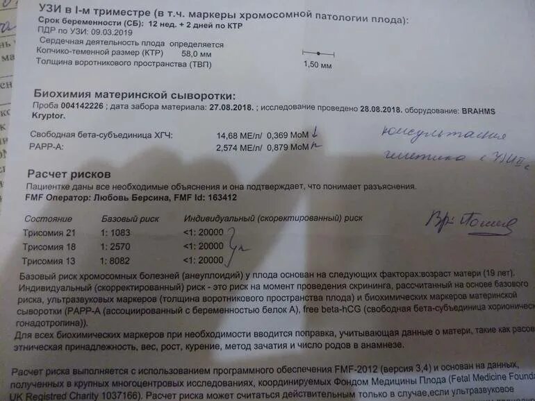 Скрининг при беременности на каких сроках. Эхо-кг плода при беременности показатели нормы. Сроки обследования беременных на УЗИ (скрининг).. УЗИ скрининг кровь. Скрининг на хромосомные аномалии при беременности.