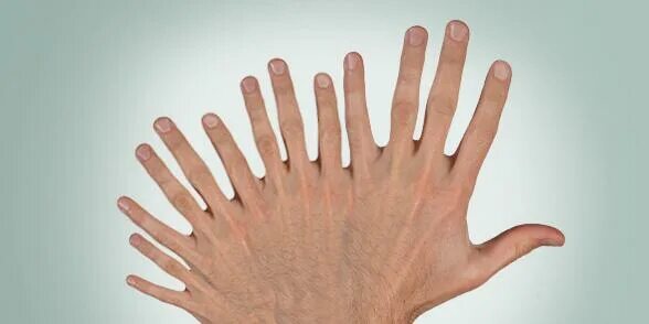 Рука ладонь. Many fingers. How many fingers worksheet. Many fingers. Ладонь вверх.