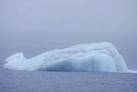 Жизнь была похожа на плывущую ледяную