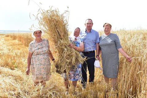 Хлебороб краснодарский край