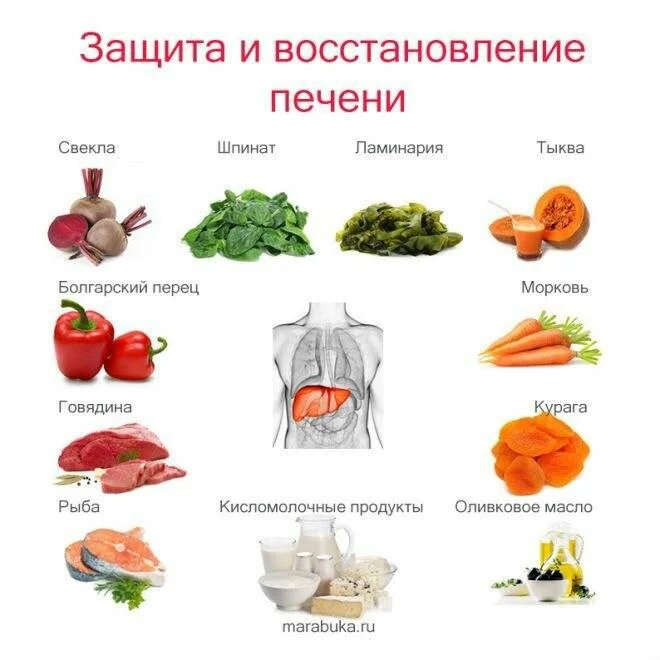 Что полезно для печени человека из продуктов