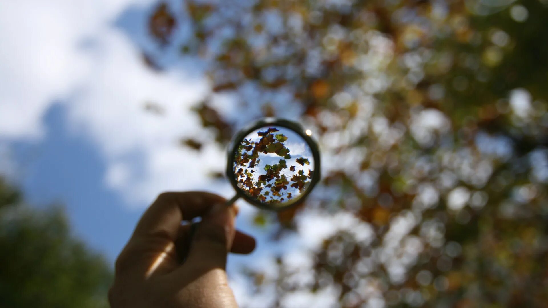 Featured image. Featured image