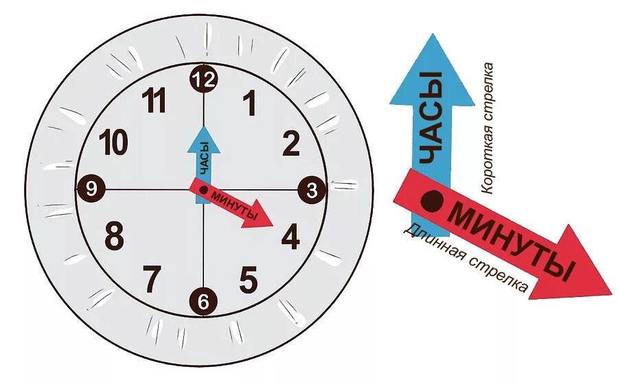 Часы со стрелками для детей. Циферблат часов с минутной стрелкой. Модель часов для детей. Изучение часов для детей.