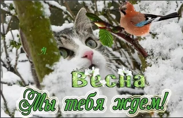 Два дня до весны картинки. Февраль предвестник весны.