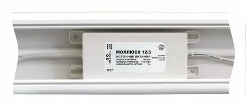 Моллюск 12