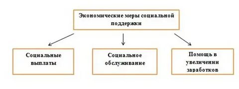 Какие экономические меры включает социальная поддержка государства