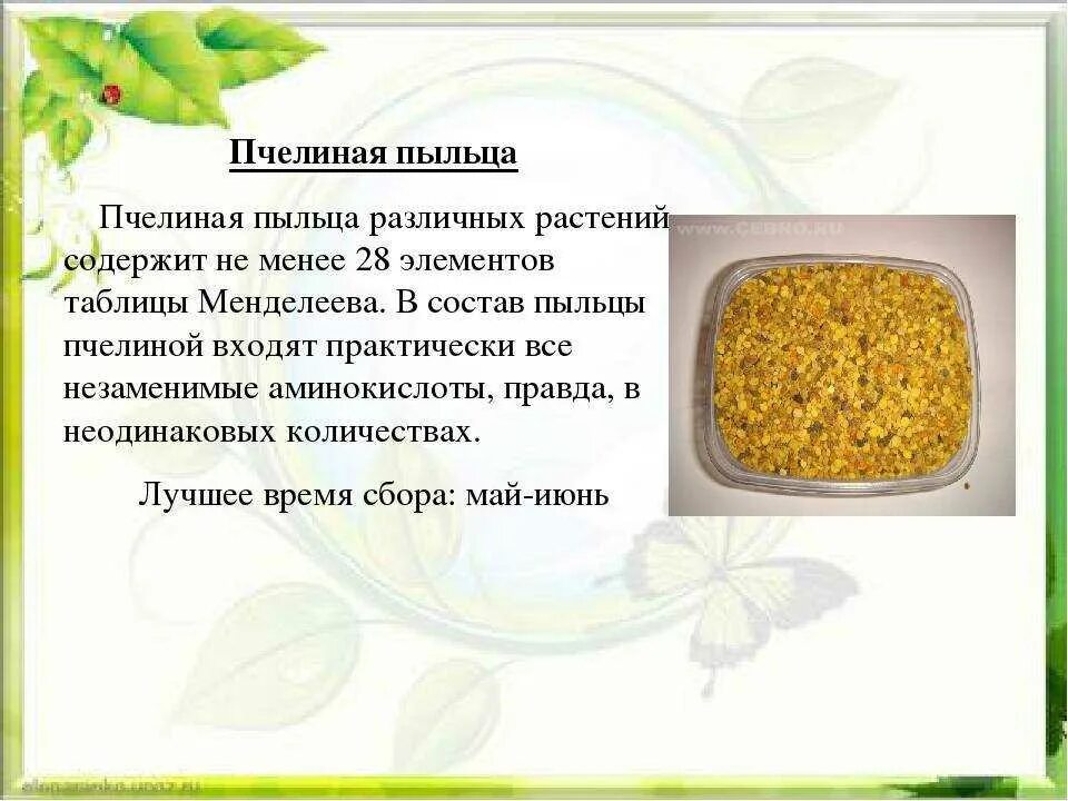 Питание пыльцой. Цветочная пыльца и перга. Пыльца пчелиная. Продукты пчеловодства пыльца. Пчелиная пыльца лечебные.