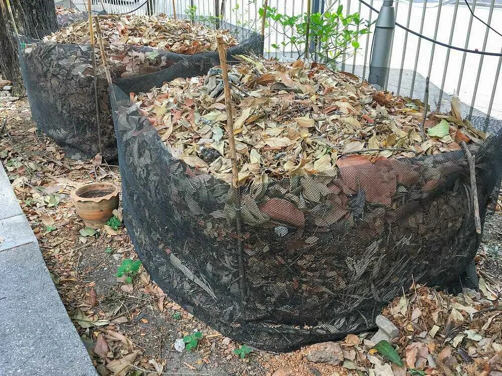 Можно ли гнилые яблоки в компост. Компостная траншея. компостный бурт. компостная яма. сад огород яма компостная.