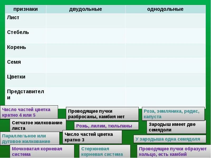 Классификация однодольных растений. Классификация однодольных и двудольных растений. Число частей цветка кратно. Систематика однодольных растений. Количество частей цветка кратно четырем или пяти