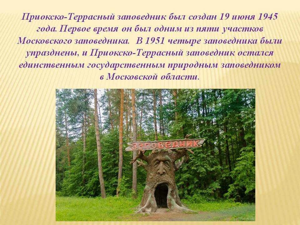 Какие есть заповедники национальных парков. Парк Московской области Приокско Террасный заповедник. 19 Июня 1945 создан Приокско-Террасный заповедник. Приокско-Террасный заповедник территория. Заповедник памятник природы.