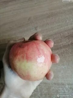 Сорт хруст