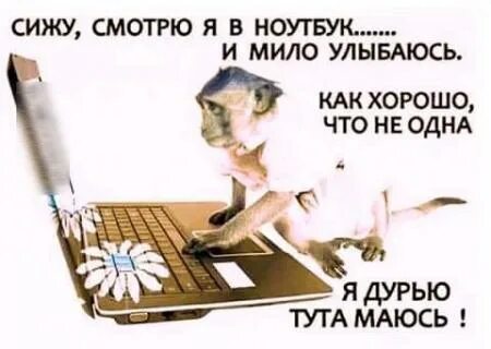 Я сижу и смотрю