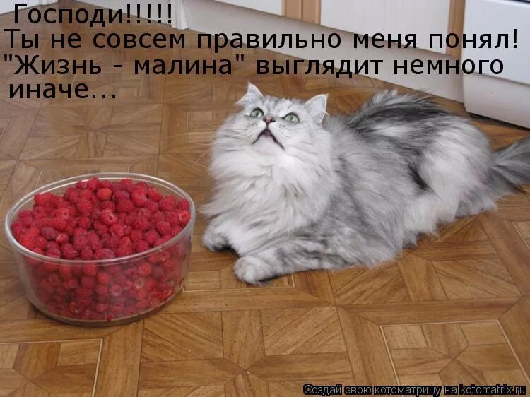 Чтобы жизнь не казалась