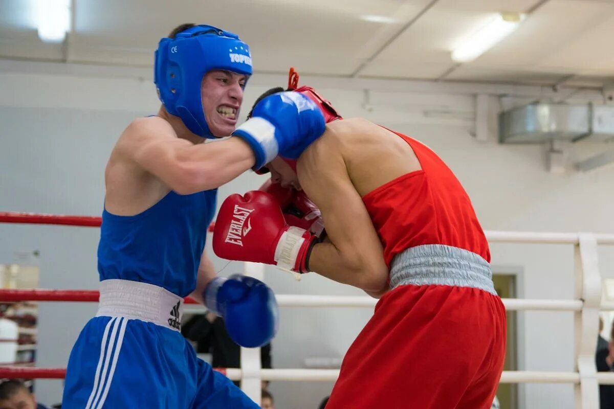 соревнования по боксу среди юниоров регистрация. соревнования по боксу. олимпик балаково бокс. даниил леонов бокс рыбинск. любительский бокс.