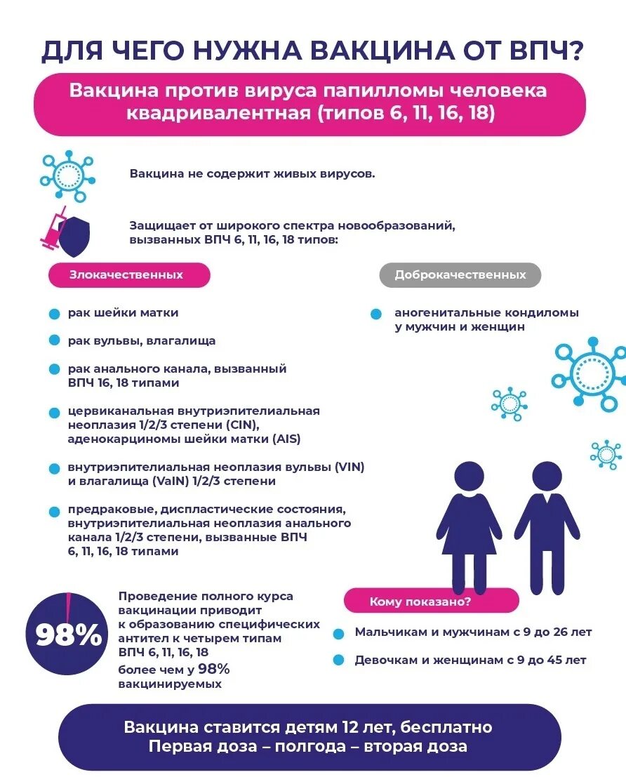 Впч до какого возраста. Вакцинация против впч. впч прививка. вакцина против вируса папилломы человека (впч). вирус папилломы человека прививка.