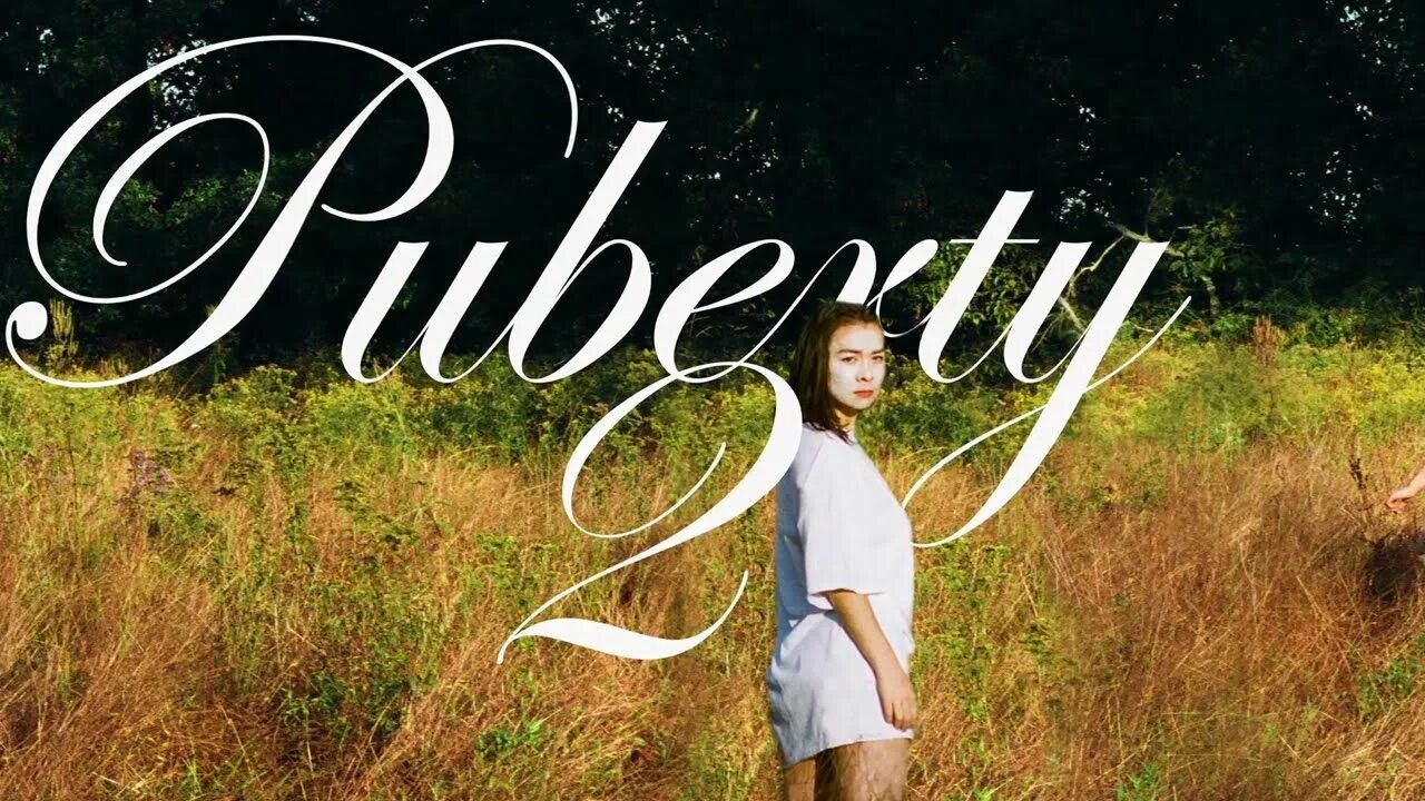 Mitski альбомы. Mitski постер. митски альбом. mitski puberty 2. mitski обложка.