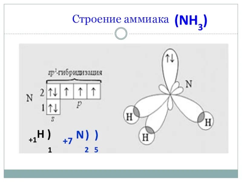 Nh 3 связь. Пространственное строение молекул nh3. Схема строения молекулы аммиака. Nh3 пространственное строение. Изобразите пространственное строение молекулы аммиака.