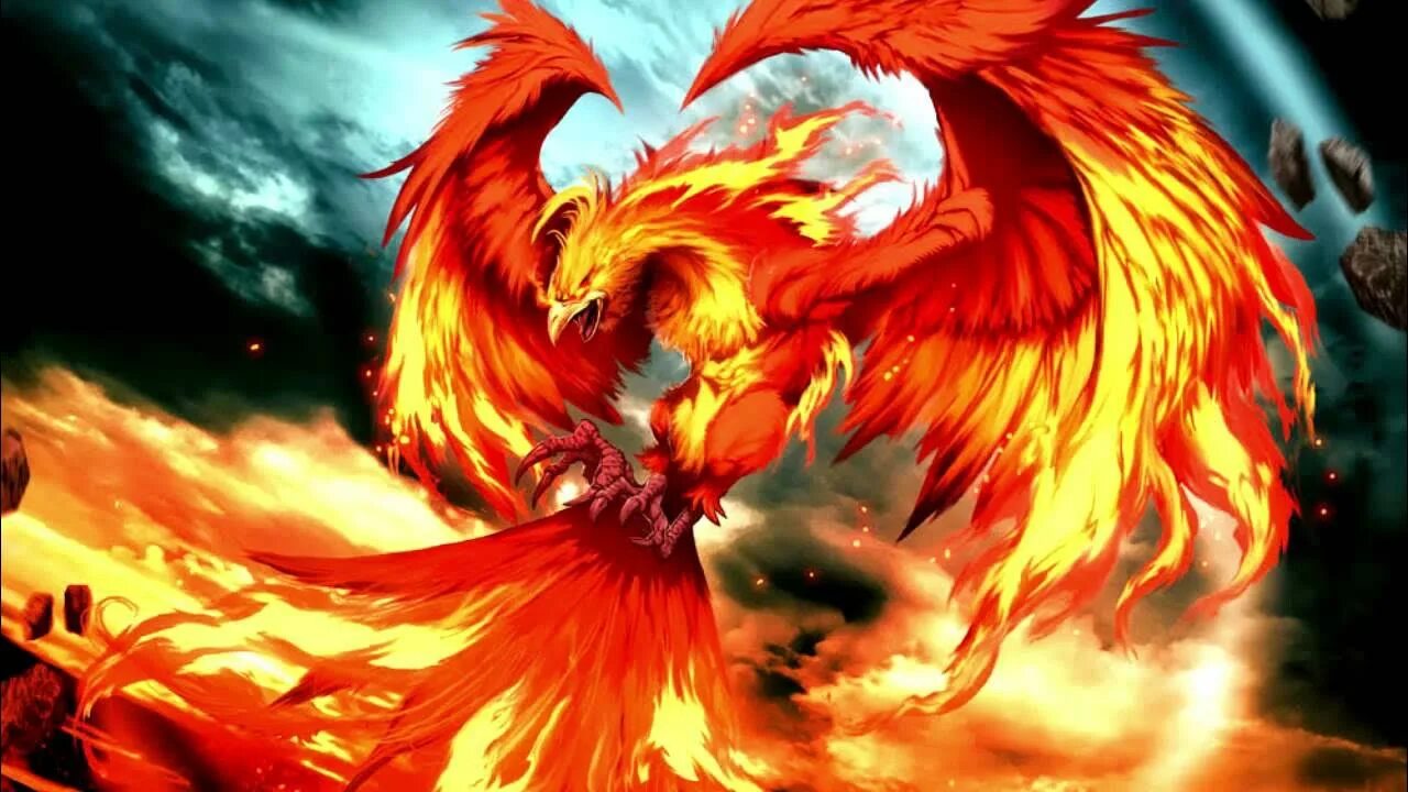 Phoenix forums