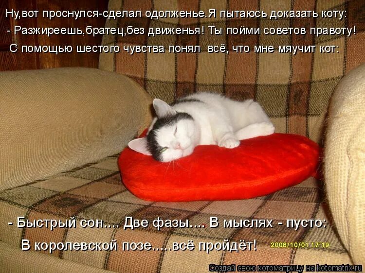 Способы быстрее заснуть. Открытки здорового сна. Статус сплю. Кот устал хочет спать. Коты просыпаются.