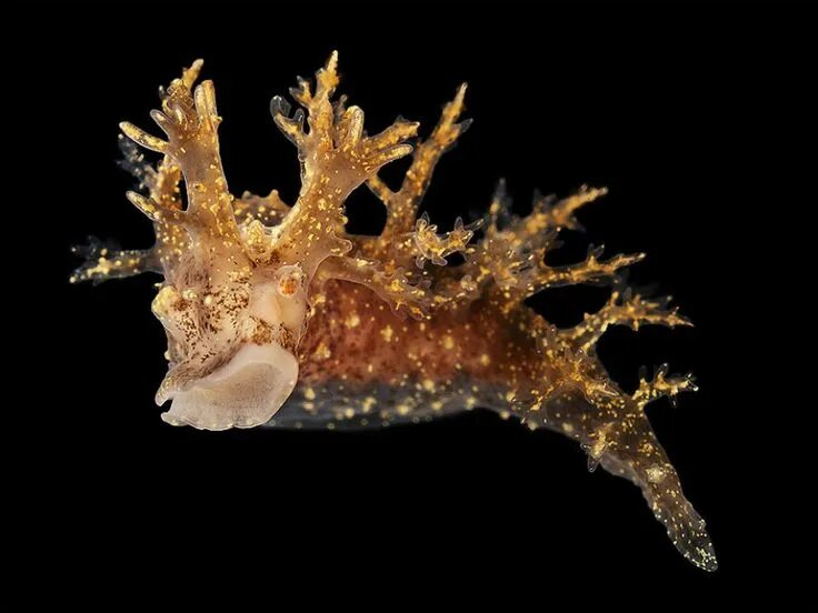 Images of the Ocean Blue: Photographs From NOAA The Atlantic
